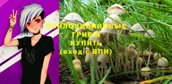 СК Магадан