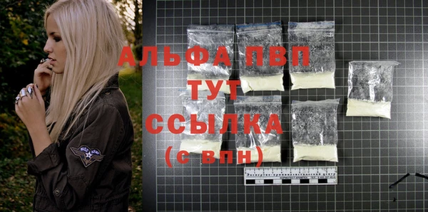 СК Магадан