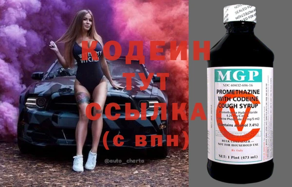 гидра Абаза