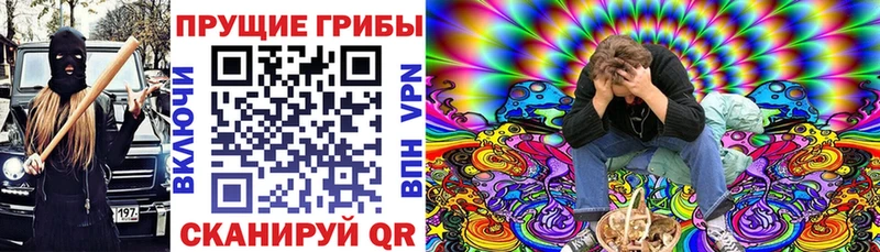 ссылка на мегу ссылки  Стрежевой  Галлюциногенные грибы Magic Shrooms 
